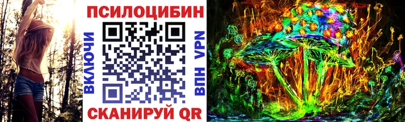 Псилоцибиновые грибы Psilocybine cubensis  Керчь 